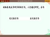 北师大版生物八年级上册 16.1 先天性行为和后天学习行为课件