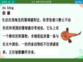北师大版生物八年级上册 16.2 动物行为的主要类型课件