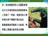 北师大版生物八年级上册 16.2 动物行为的主要类型课件