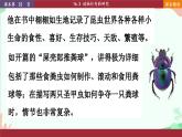 北师大版生物八年级上册 16.3 动物行为的研究课件