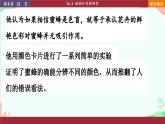 北师大版生物八年级上册 16.3 动物行为的研究课件