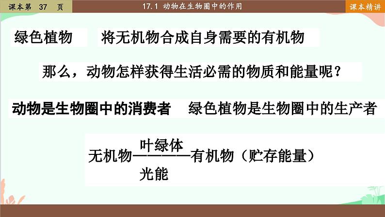 北师大版生物八年级上册 17.1动物在生物圈中的作用课件03