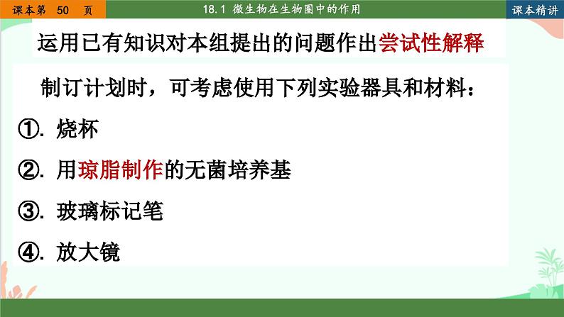 北师大版生物八年级上册 18.1 微生物在生物圈中的作用课件第7页