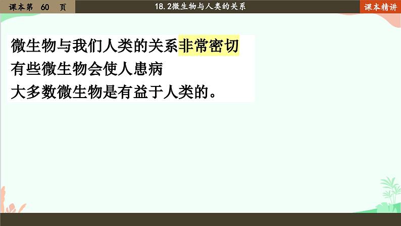 北师大版生物八年级上册 18.2 微生物与人类的关系课件02