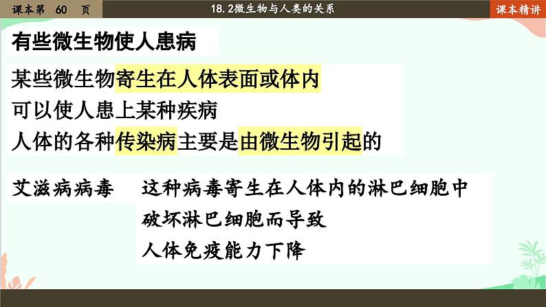 北师大版生物八年级上册 18.2 微生物与人类的关系课件03