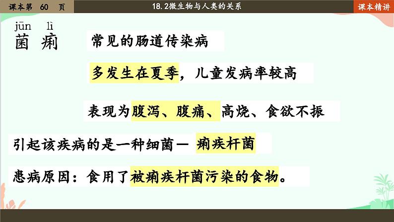 北师大版生物八年级上册 18.2 微生物与人类的关系课件04