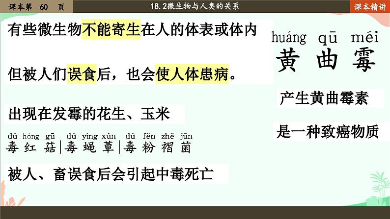 北师大版生物八年级上册 18.2 微生物与人类的关系课件05