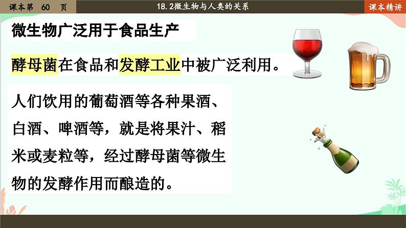 北师大版生物八年级上册 18.2 微生物与人类的关系课件06