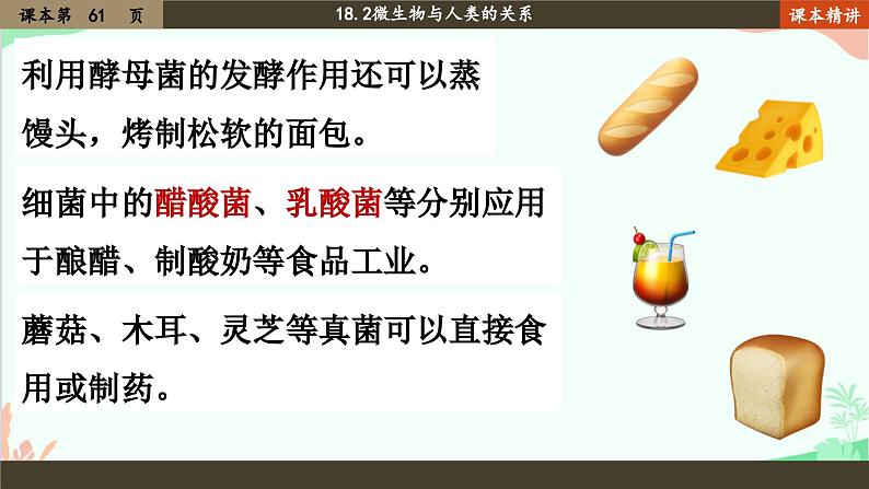 北师大版生物八年级上册 18.2 微生物与人类的关系课件07