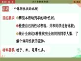 北师大版生物八年级上册 20.1 遗传和变异现象课件