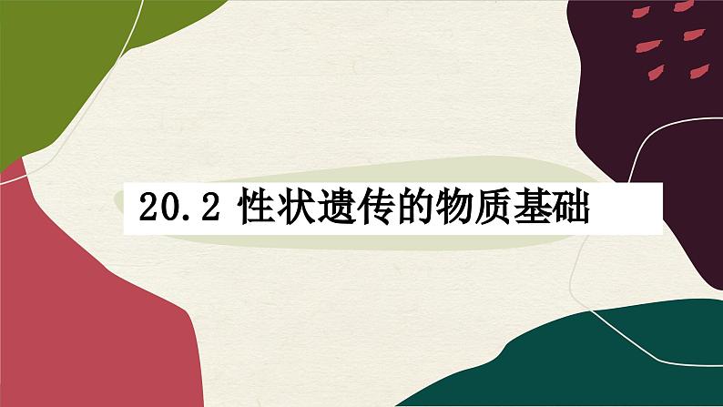 北师大版生物八年级上册 20.2 性状遗传的物质基础课件01