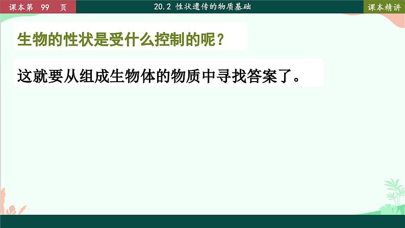 北师大版生物八年级上册 20.2 性状遗传的物质基础课件02