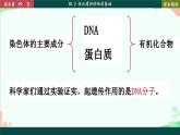 北师大版生物八年级上册 20.2 性状遗传的物质基础课件