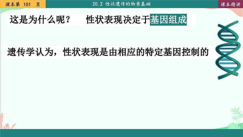 北师大版生物八年级上册 20.3 性状遗传有一定的规律性课件04