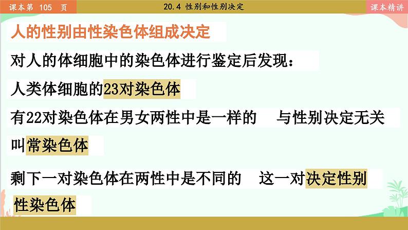 北师大版生物八年级上册 20.4 性别和性别决定课件03