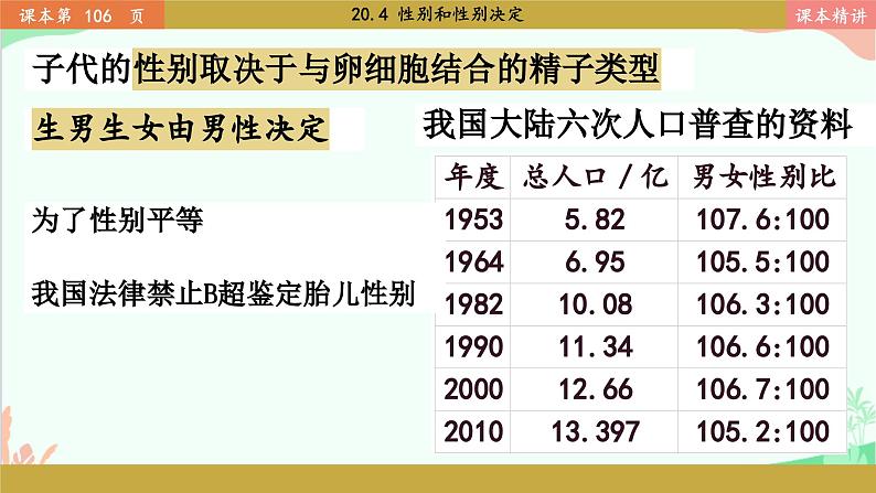 北师大版生物八年级上册 20.4 性别和性别决定课件05