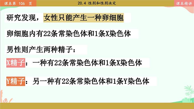 北师大版生物八年级上册 20.4 性别和性别决定课件08