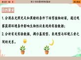 北师大版生物八年级上册 20.5 遗传与环境课件