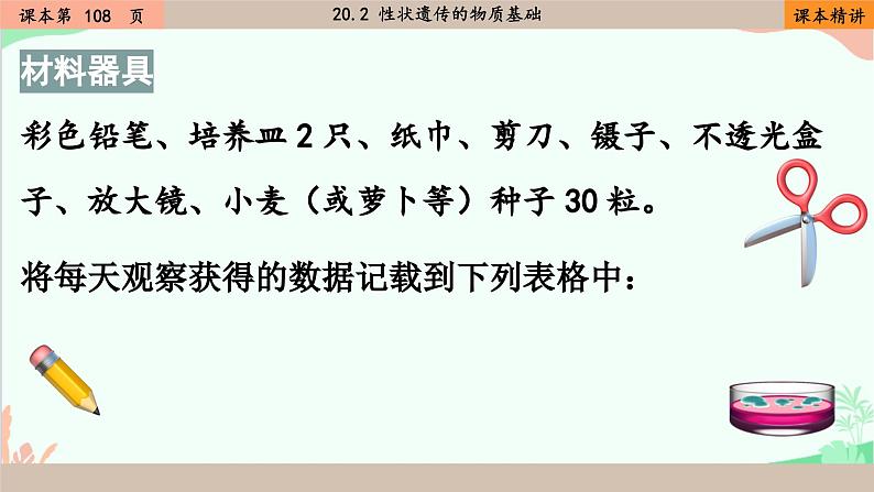 北师大版生物八年级上册 20.5 遗传与环境课件第6页