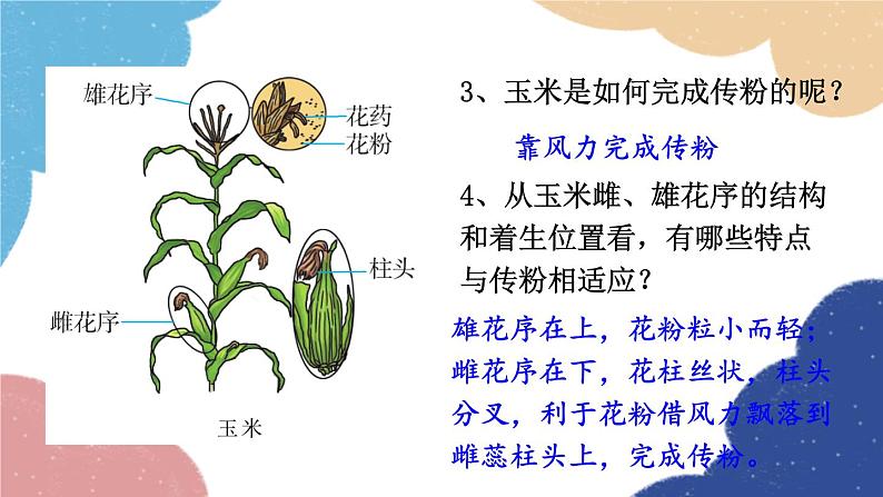 济南版生物八年级上册 4.1.2传粉和受精课件06