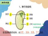 济南版生物八年级上册 4.1.4种子的萌发课件