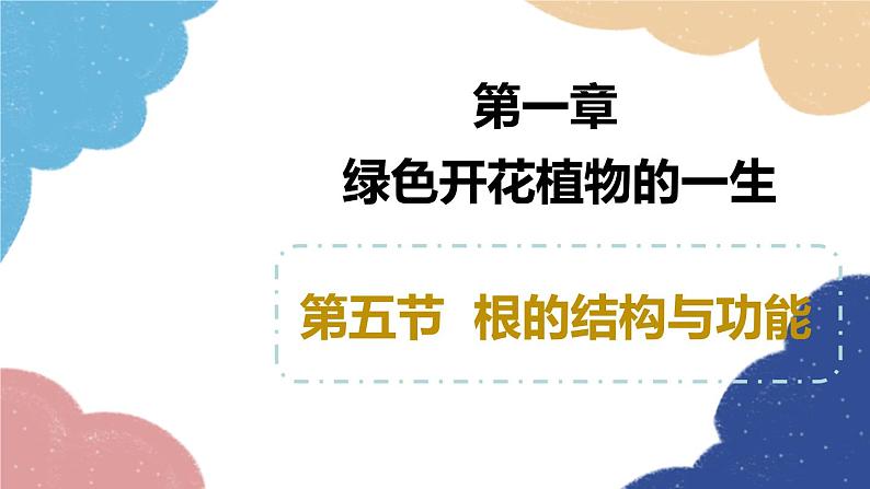 济南版生物八年级上册 4.1.5根的结构与功能课件01