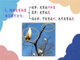 济南版生物八年级上册 4.1.6芽的类型和发育课件