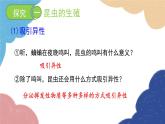 济南版生物八年级上册 4.2.1昆虫的生殖和发育课件