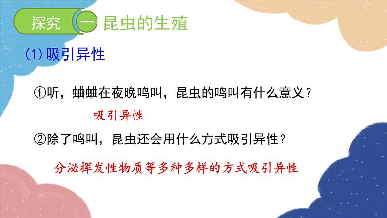 济南版生物八年级上册 4.2.1昆虫的生殖和发育课件04