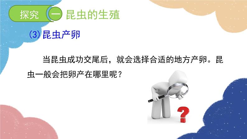 济南版生物八年级上册 4.2.1昆虫的生殖和发育课件08