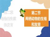 济南版生物八年级上册 4.2.2两栖动物的生殖和发育课件