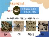 济南版生物八年级上册 4.2.2两栖动物的生殖和发育课件