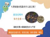 济南版生物八年级上册 4.2.2两栖动物的生殖和发育课件