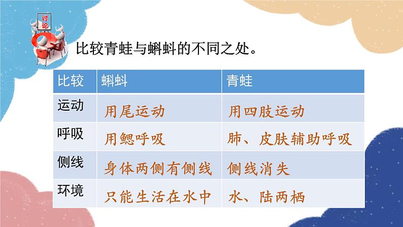 济南版生物八年级上册 4.2.2两栖动物的生殖和发育课件07