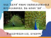 济南版生物八年级上册 4.2.3鸟的生殖和发育课件