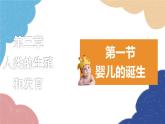 济南版生物八年级上册 4.3.1婴儿的诞生课件