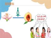 济南版生物八年级上册 4.3.1婴儿的诞生课件