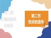 济南版生物八年级上册 4.4.2性状的遗传课件