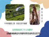 济南版生物八年级上册 4.4.2性状的遗传课件
