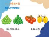 济南版生物八年级上册 4.4.2性状的遗传课件