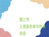 济南版生物八年级上册 4.4.3人类染色体与性别决定课件