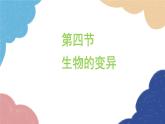 济南版生物八年级上册 4.4.4生物的变异课件