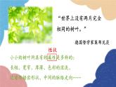 济南版生物八年级上册 4.4.4生物的变异课件