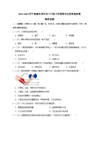 2023-2024学年福建省泉州市八年级上学期期中生物质量检测模拟试题（含答案）