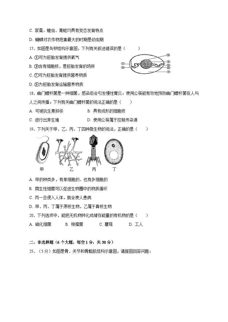 2023-2024学年湖北省来凤县八年级上学期第二次月考生物模拟试题（含答案）02