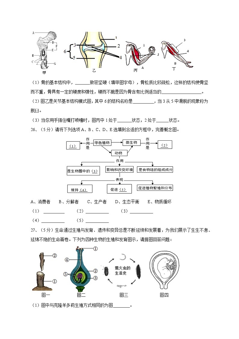 2023-2024学年湖北省来凤县八年级上学期第二次月考生物模拟试题（含答案）03