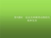 北师大版八年级生物上册第19章第2节第1课时昆虫及两栖类动物的生殖和发育课件