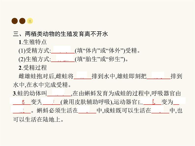 北师大版八年级生物上册第19章第2节第1课时昆虫及两栖类动物的生殖和发育课件05