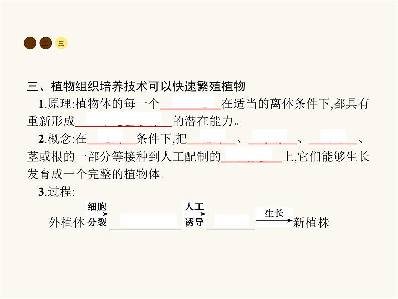 北师大版八年级生物上册第19章第3节植物的生殖方式课件06