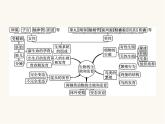 北师大版八年级生物上册第19章整合课件